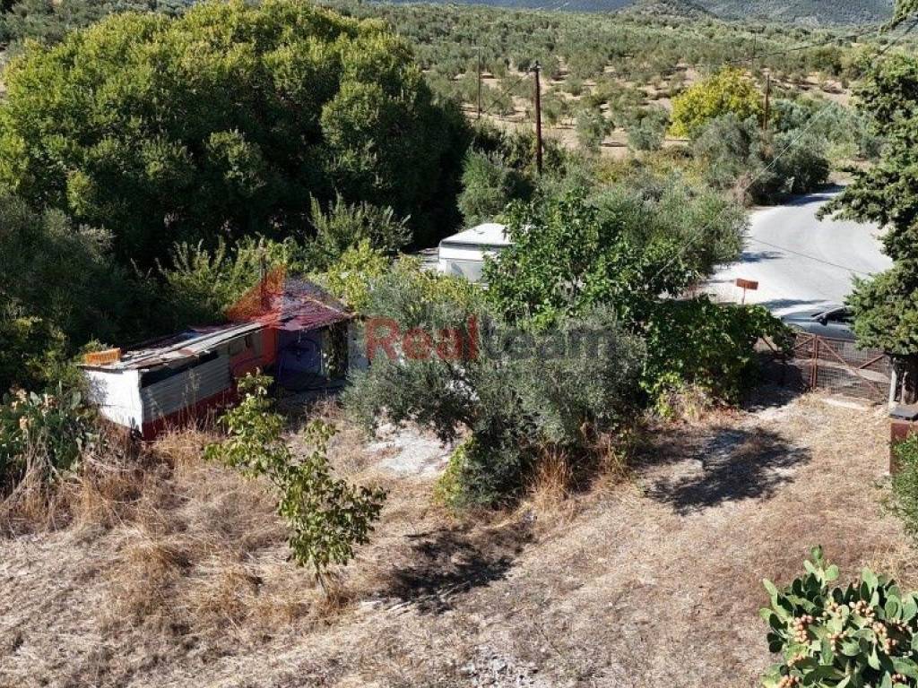 Εξωτερικοι χώροι