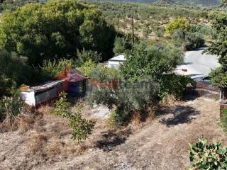 Εξωτερικοι χώροι