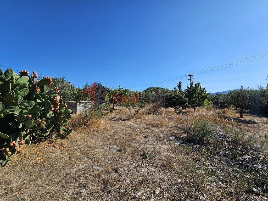 Εξωτερικοι χώροι