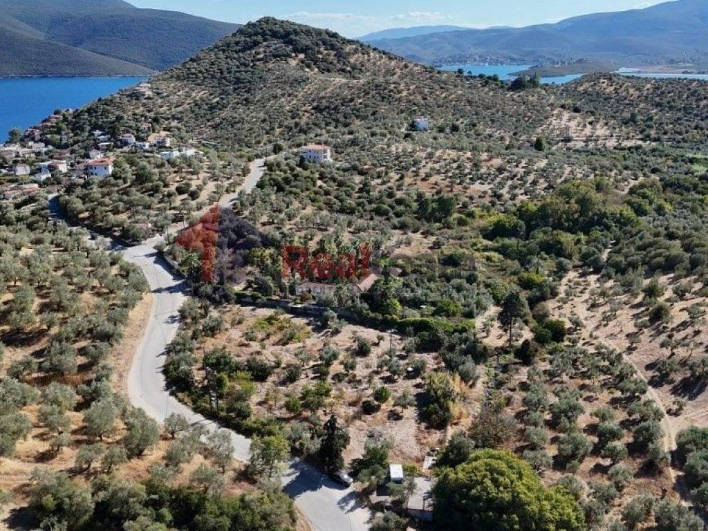 Εξωτερικοι χώροι