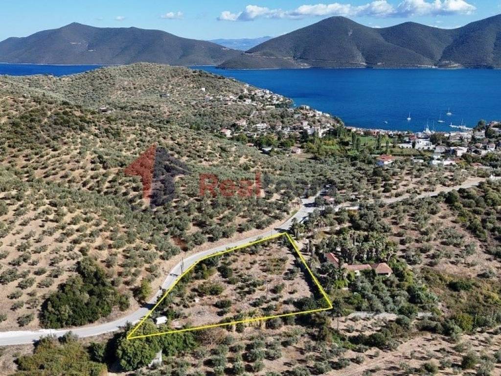 Εξωτερικοι χώροι