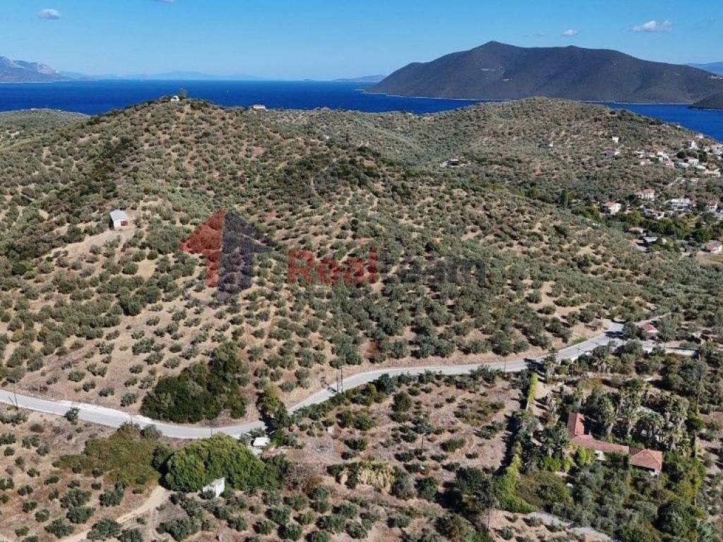 Εξωτερικοι χώροι