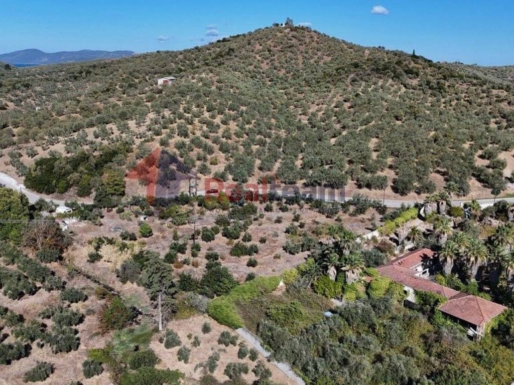 Εξωτερικοι χώροι