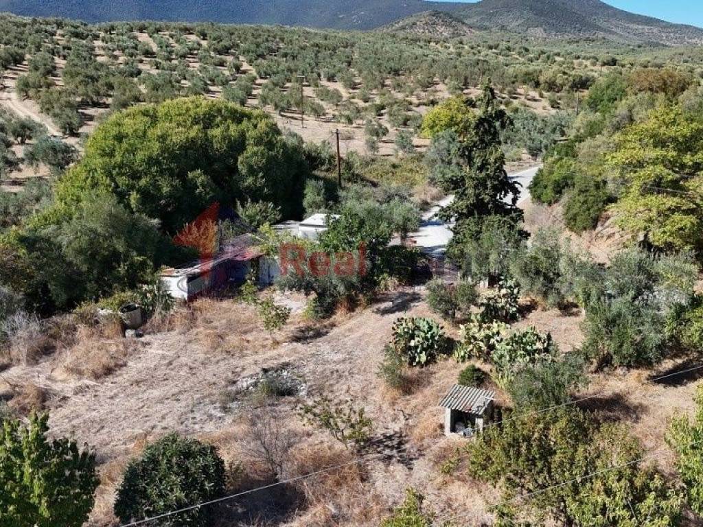 Εξωτερικοι χώροι