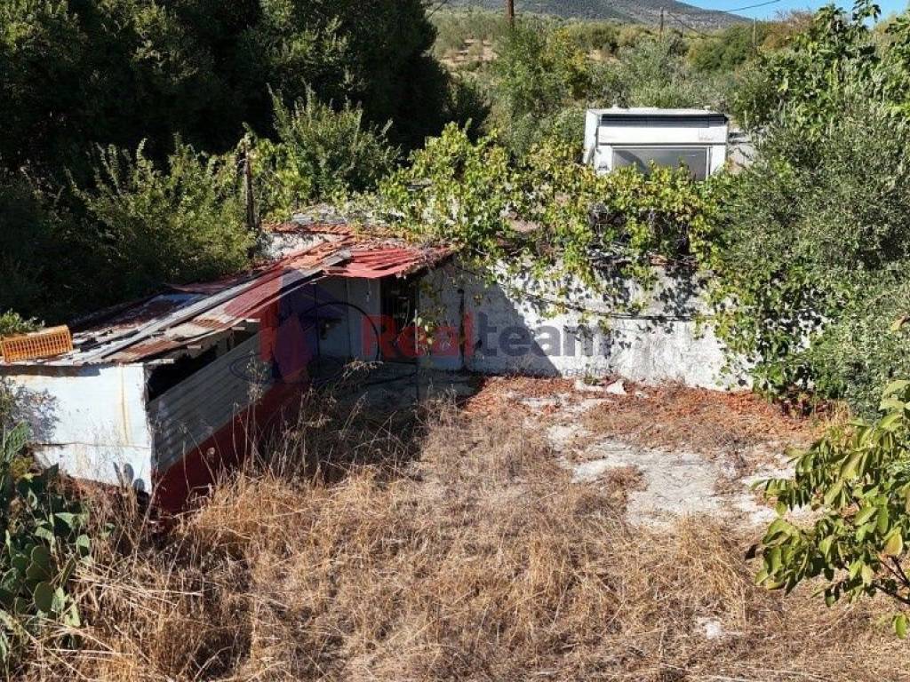 Εξωτερικοι χώροι