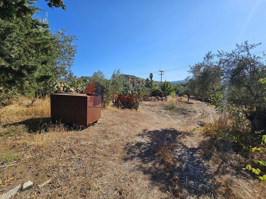 Εξωτερικοι χώροι