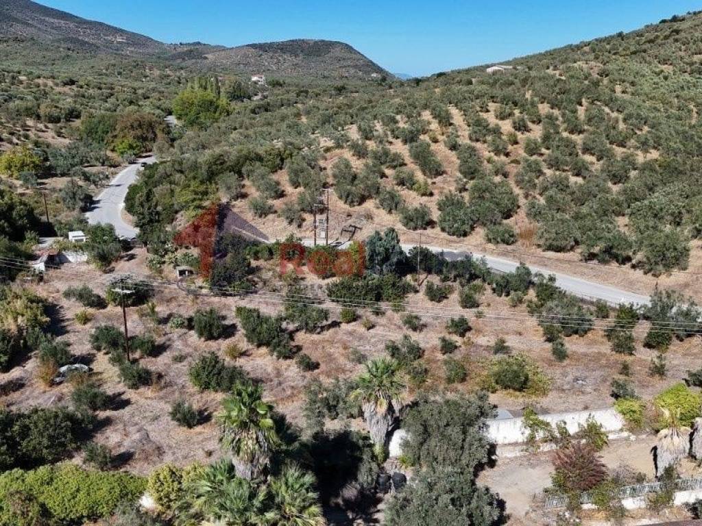 Εξωτερικοι χώροι