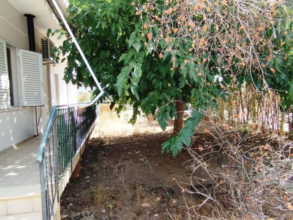 Η βεράντα και ο κήπος. Δεξιά η θέση στάθμευσης