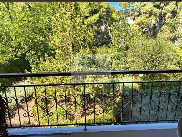 VIEW FROM THE FRONT VERANDA