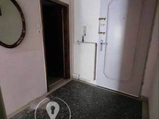 Forumland Real Estate, Χωλ