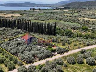 Εξωτερικοι χώροι