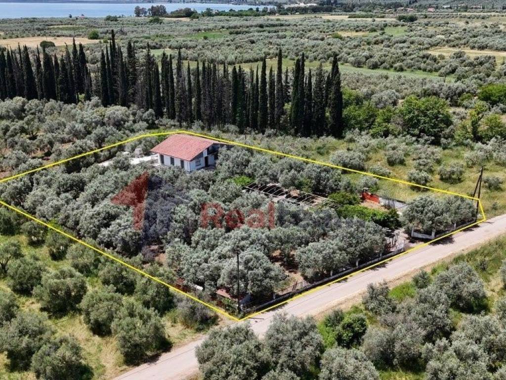 Εξωτερικοι χώροι