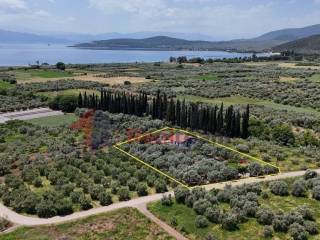 Εξωτερικοι χώροι