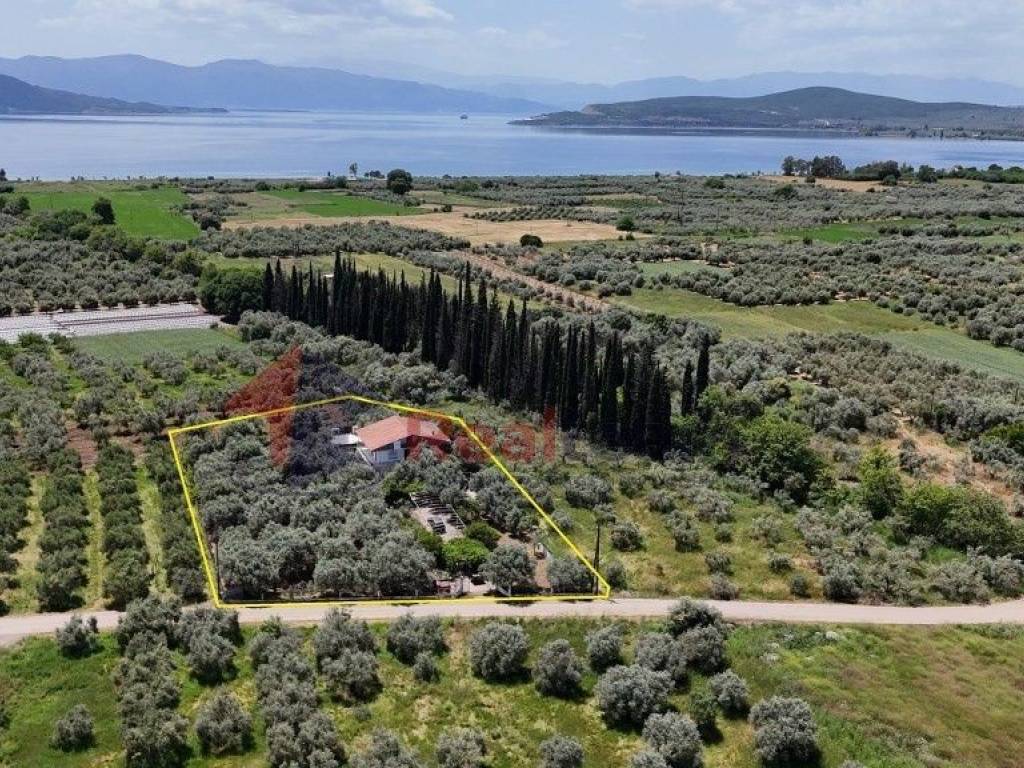 Εξωτερικοι χώροι