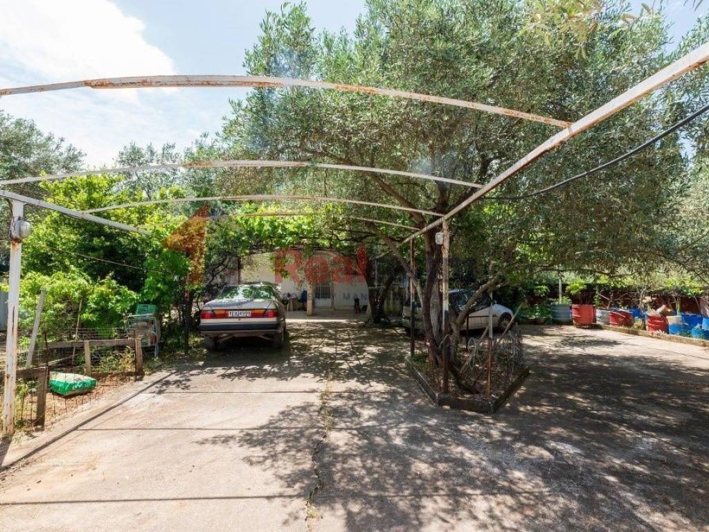 Εξωτερικοι χώροι