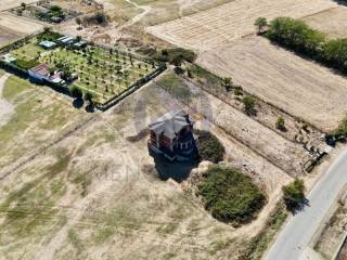 Ύπαρξη ανθρώπου