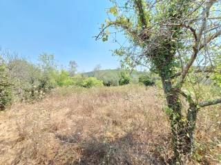 Plot - Grekodom 63961|1006935