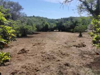 Plot - Grekodom 63961|1014385