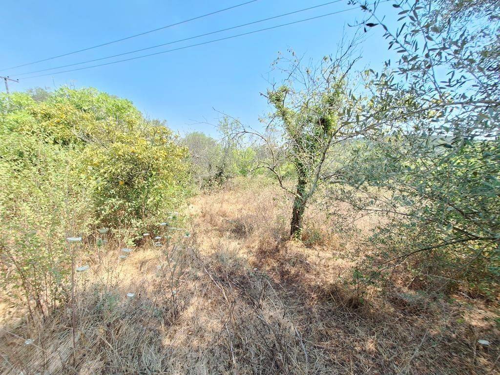 Plot - Grekodom 63961|1006934