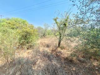 Plot - Grekodom 63961|1006934