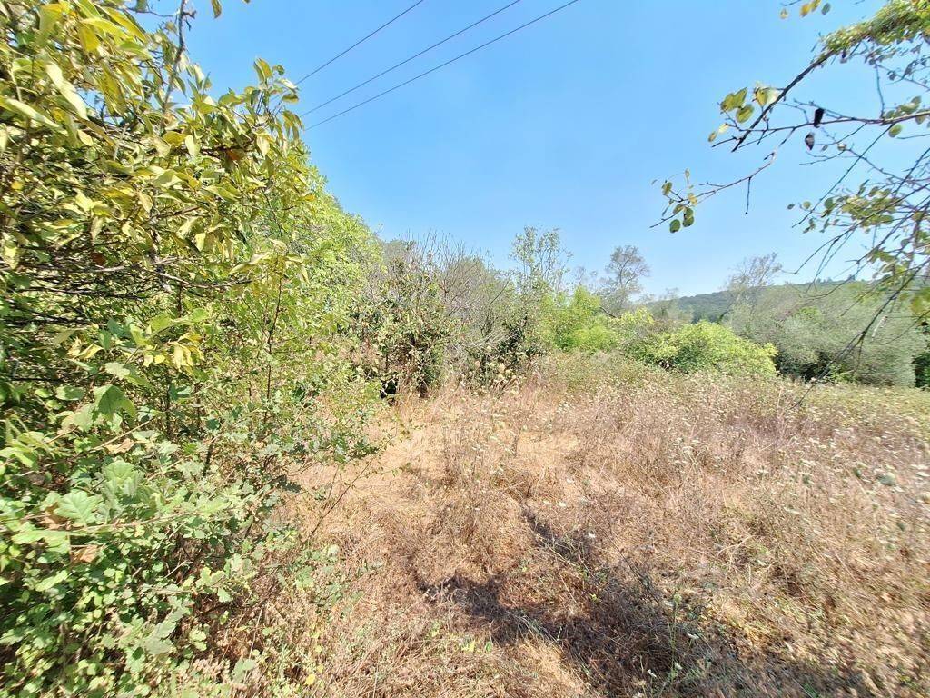 Plot - Grekodom 63961|1006936