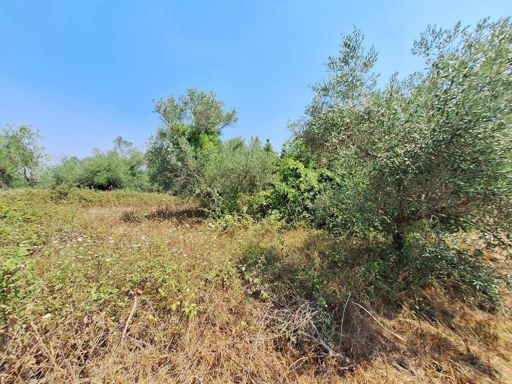 Plot - Grekodom 63961|1006938