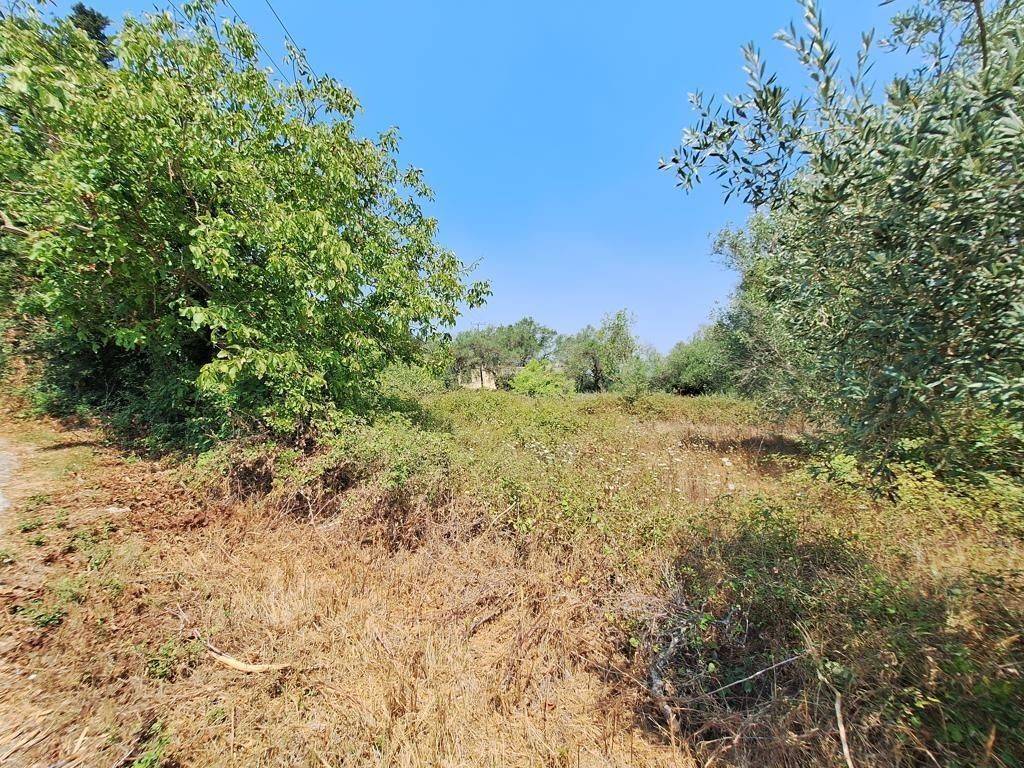 Plot - Grekodom 63961|1006939