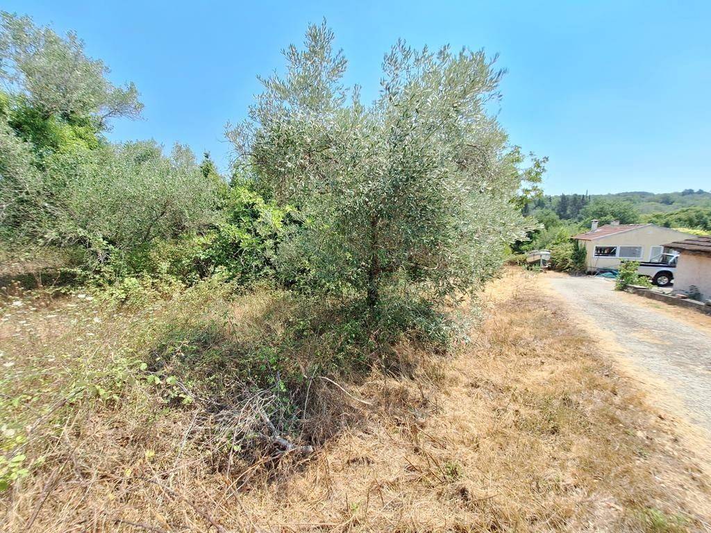 Plot - Grekodom 63961|1006940