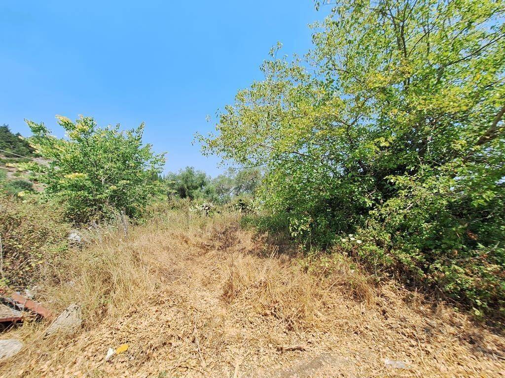 Plot - Grekodom 63961|1006941