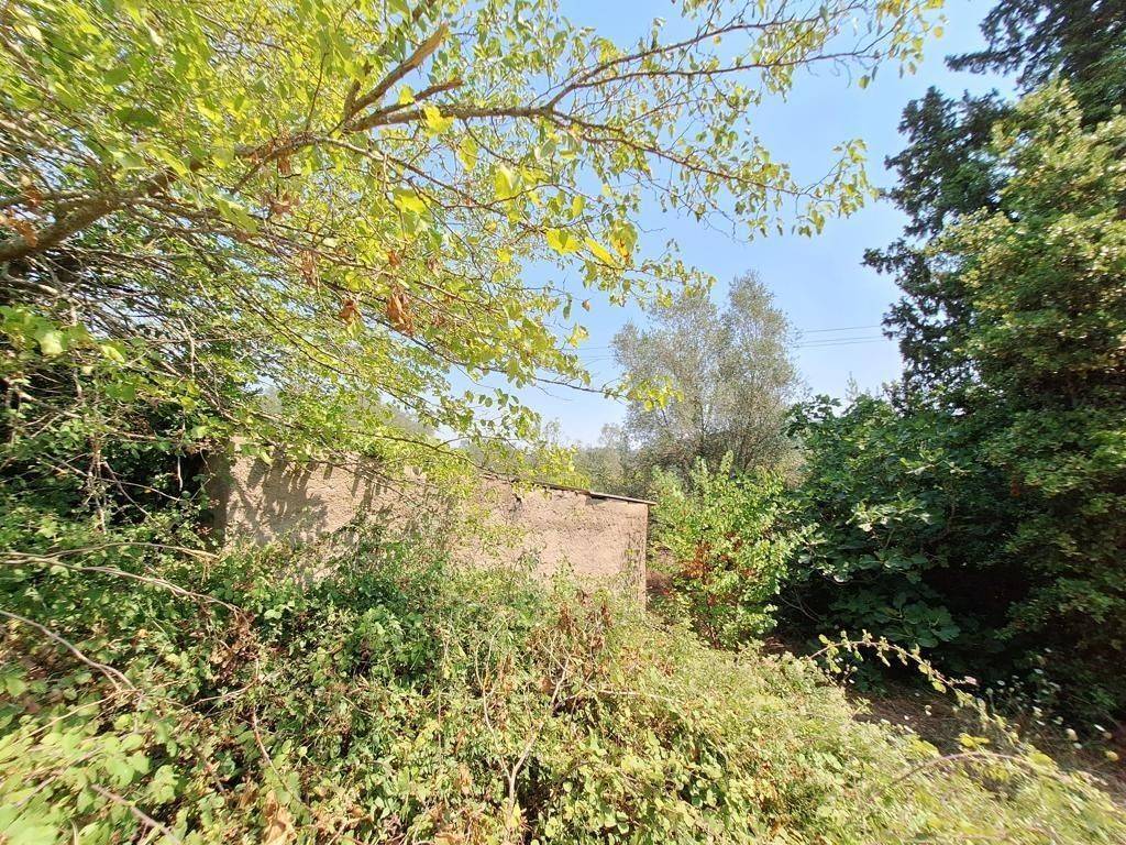 Plot - Grekodom 63961|1006942