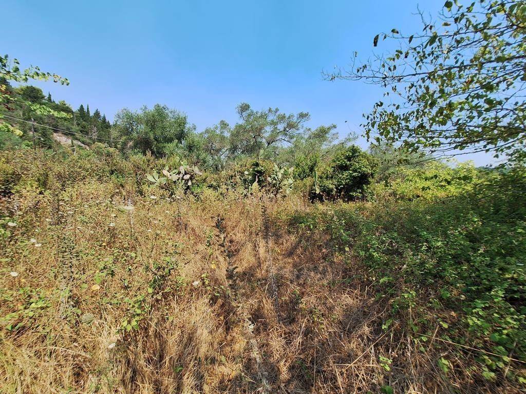 Plot - Grekodom 63961|1006946