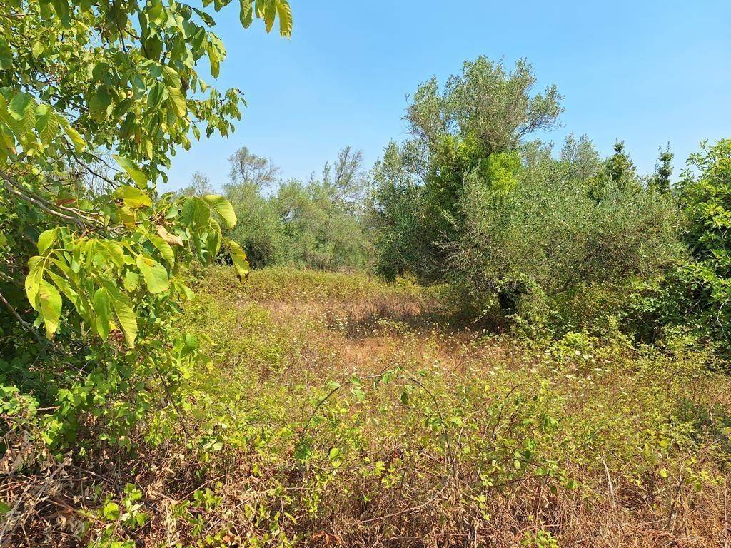 Plot - Grekodom 63961|1006947