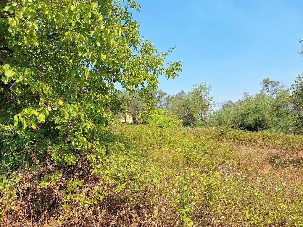 Plot - Grekodom 63961|1006948