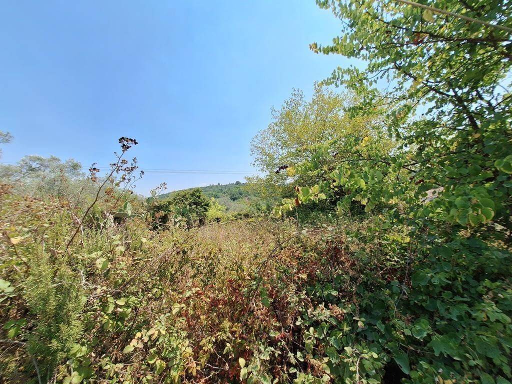 Plot - Grekodom 63961|1006952