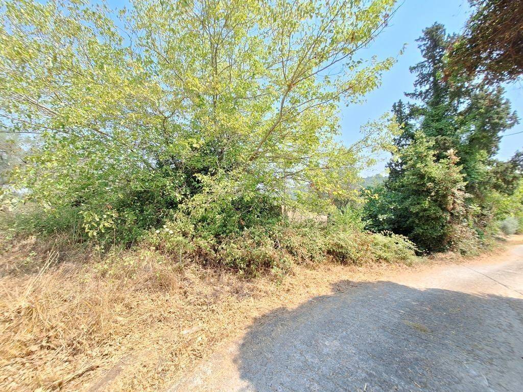 Plot - Grekodom 63961|1006943