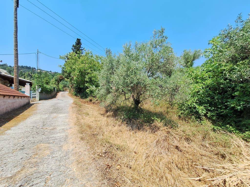 Plot - Grekodom 63961|1006937