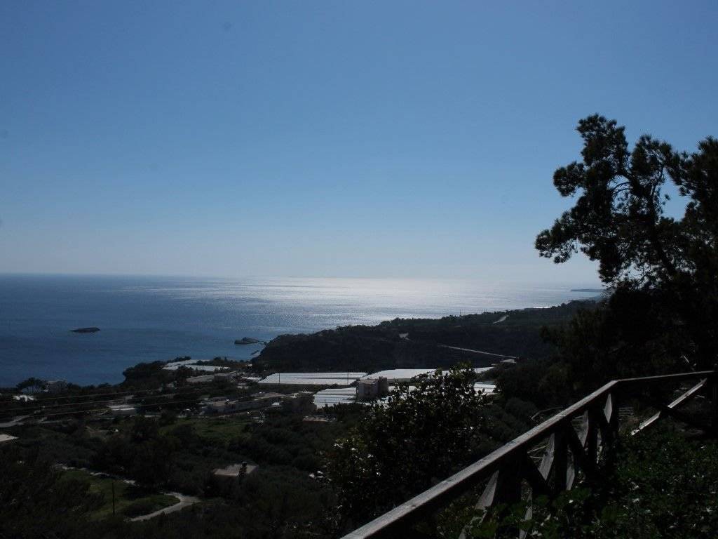 Detached - Grekodom 36690|553284