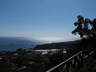 Detached - Grekodom 36690|553284