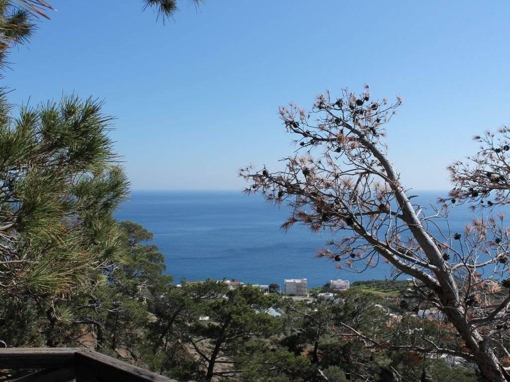 Detached - Grekodom 36690|553283