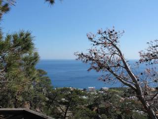 Detached - Grekodom 36690|553283