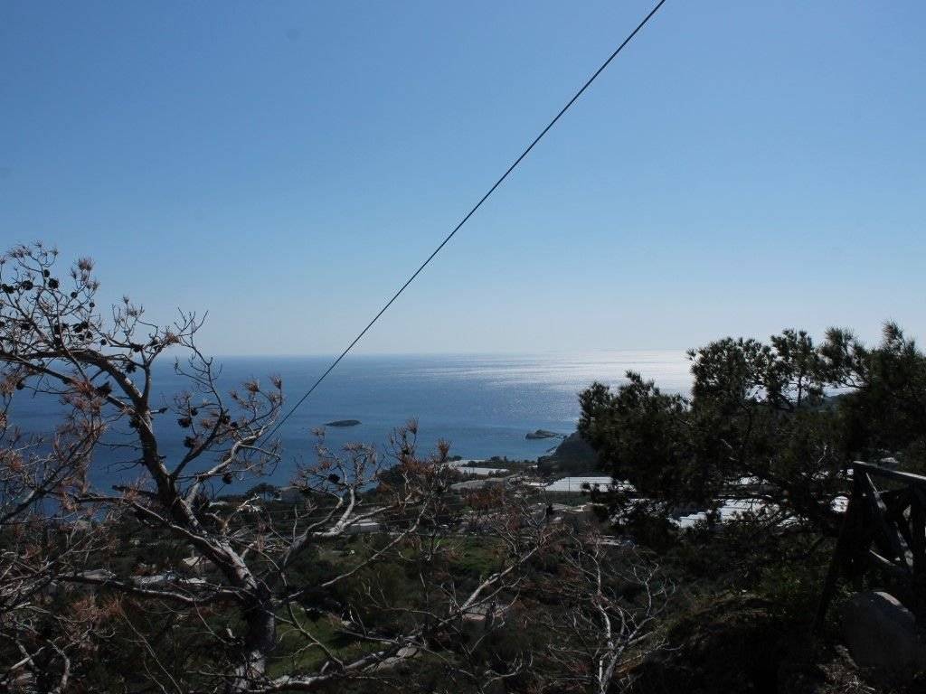 Detached - Grekodom 36690|553282