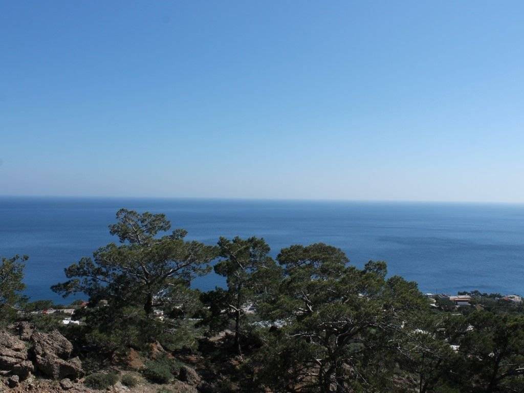 Detached - Grekodom 36690|553285