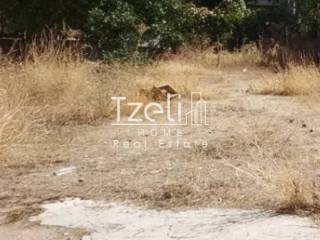 Άποψη οικοπέδου