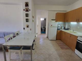 Apartment - Grekodom 64243|1014448