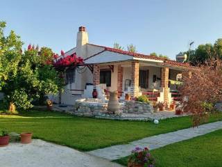 Detached - Grekodom 64236|1014372