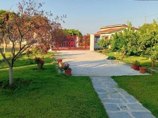 Detached - Grekodom 64236|1014375