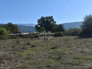 ΑΠΟΨΗ ΑΓΡΟΤΕΜΑΧΙΟΥ