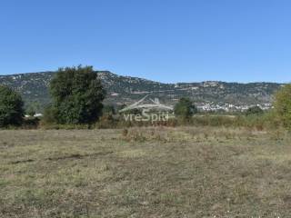 ΑΠΟΨΗ ΑΓΡΟΤΕΜΑΧΙΟΥ