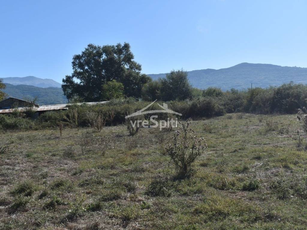 ΑΠΟΨΗ ΑΓΡΟΤΕΜΑΧΙΟΥ