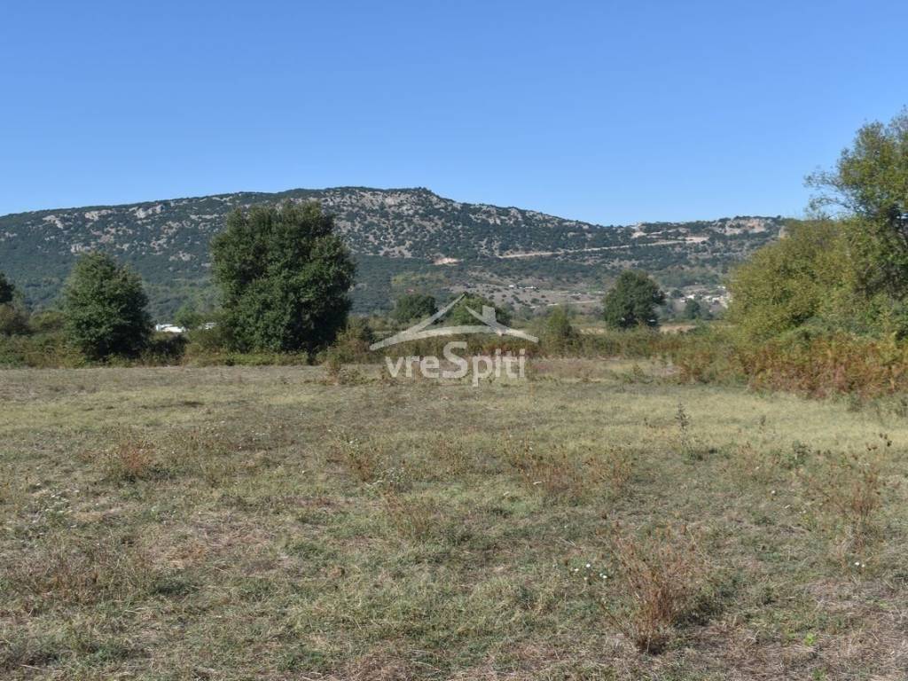 ΑΠΟΨΗ ΑΓΡΟΤΕΜΑΧΙΟΥ